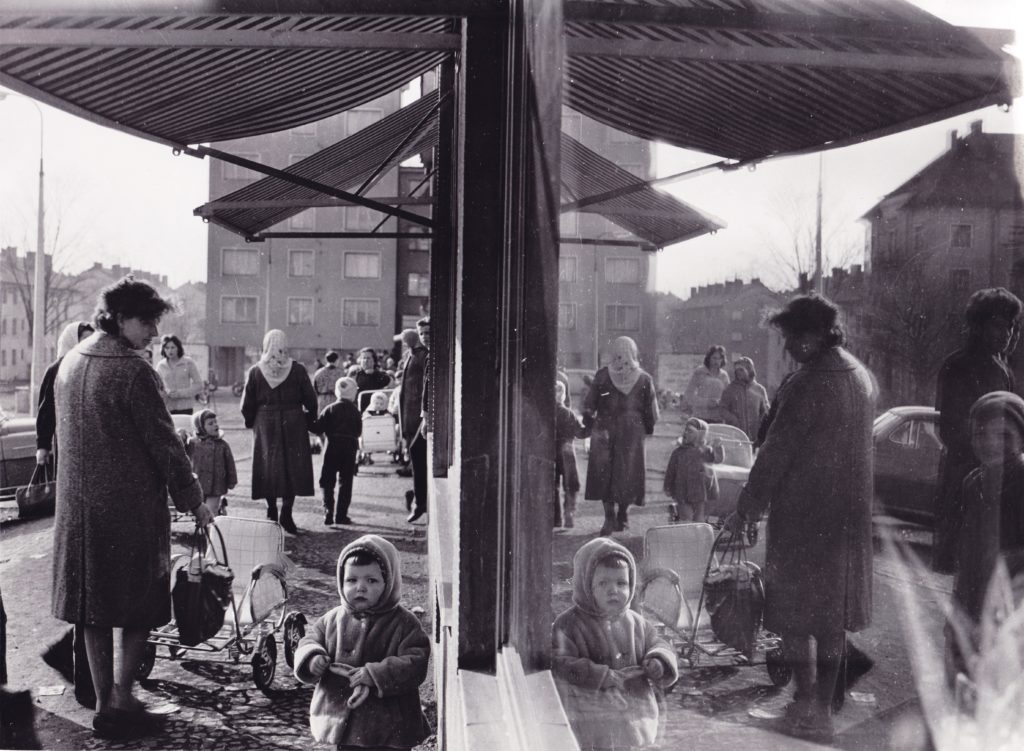 Tento obrázek nemá vyplněný atribut alt; název souboru je IMG_0084-kopie-1024x751.jpg.